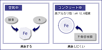 y}-1zS؂̕sԔ햌