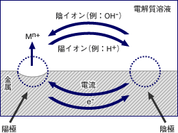 y}-4z̎HɂǕdr̍\